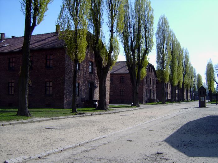 besuch_in_auschwitz_26_20091106_1863495443