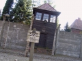besuch_in_auschwitz_33_20091106_1456120055