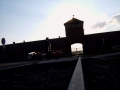 besuch_in_auschwitz_37_20091106_2010474709