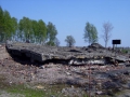 besuch_in_auschwitz_65_20091106_1819950478